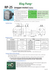 RP-2S Schrittmotorpumpe Datenblatt